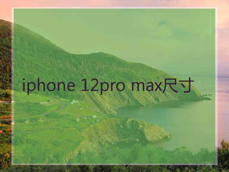 iphone 12pro max尺寸