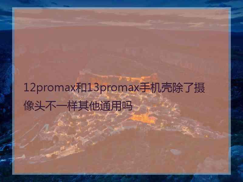 12promax和13promax手机壳除了摄像头不一样其他通用吗