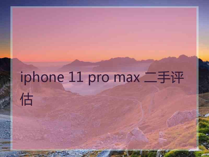 iphone 11 pro max 二手评估