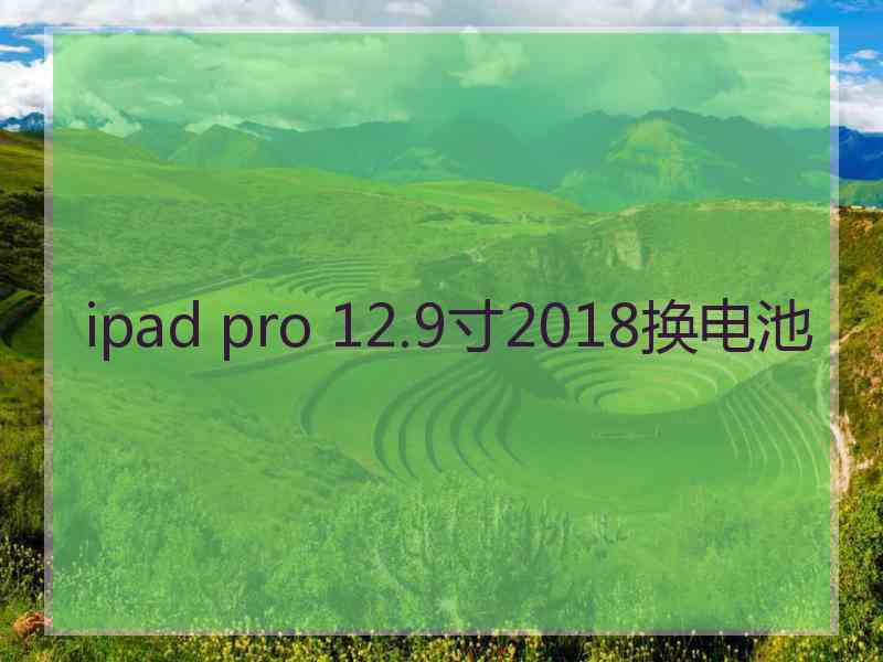 ipad pro 12.9寸2018换电池