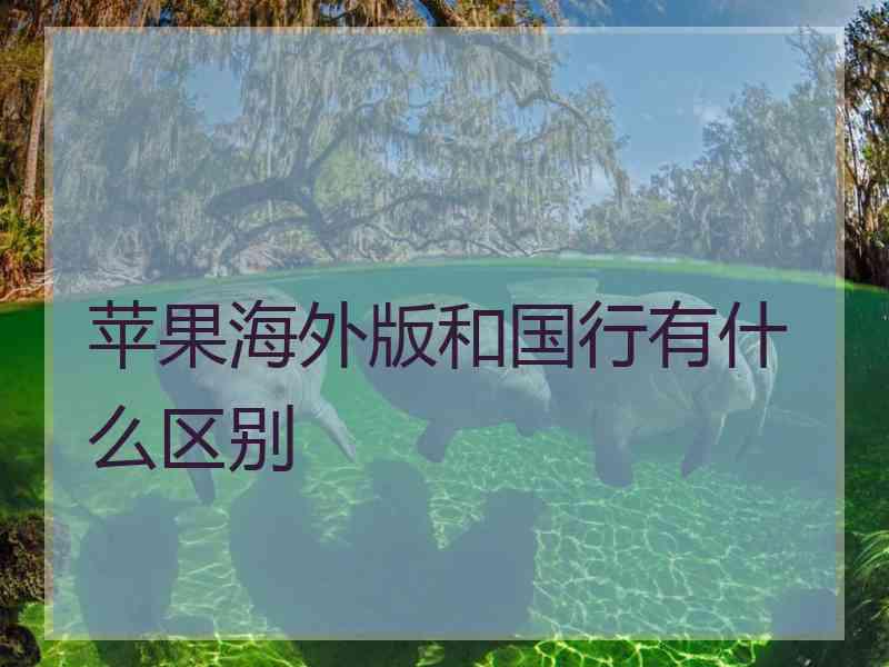 苹果海外版和国行有什么区别