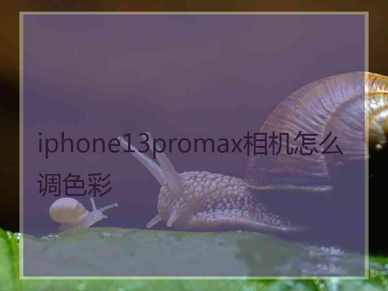 iphone13promax相机怎么调色彩