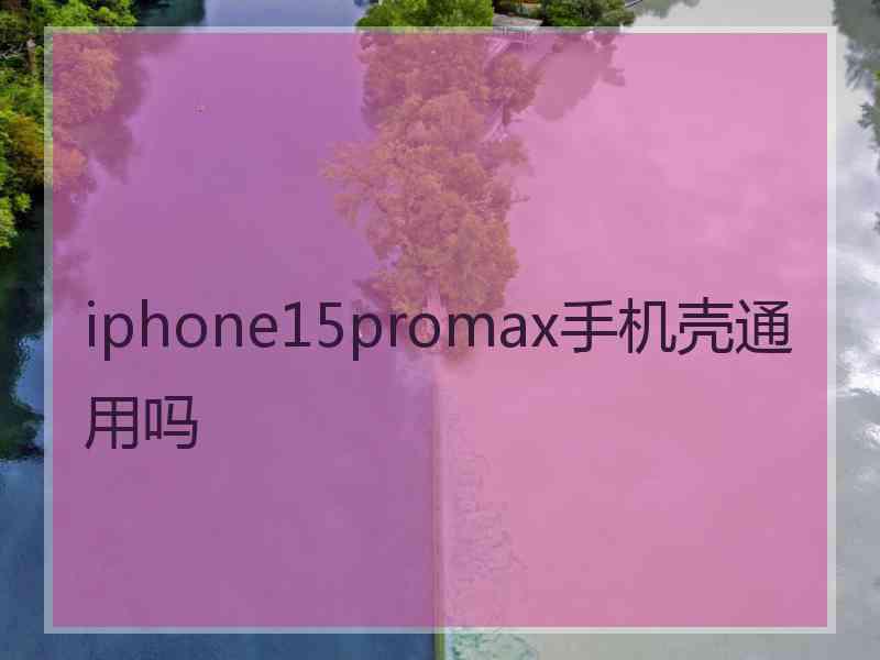 iphone15promax手机壳通用吗