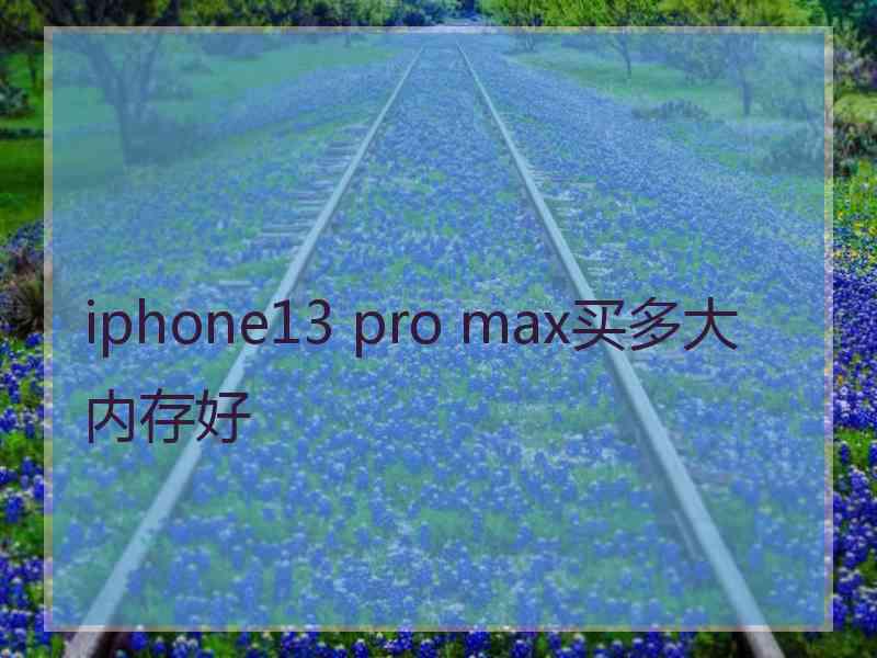 iphone13 pro max买多大内存好