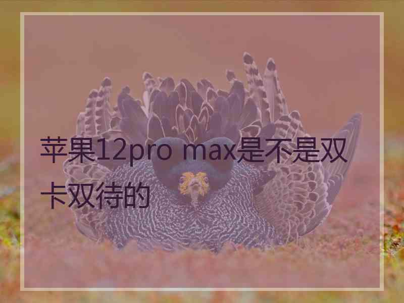 苹果12pro max是不是双卡双待的