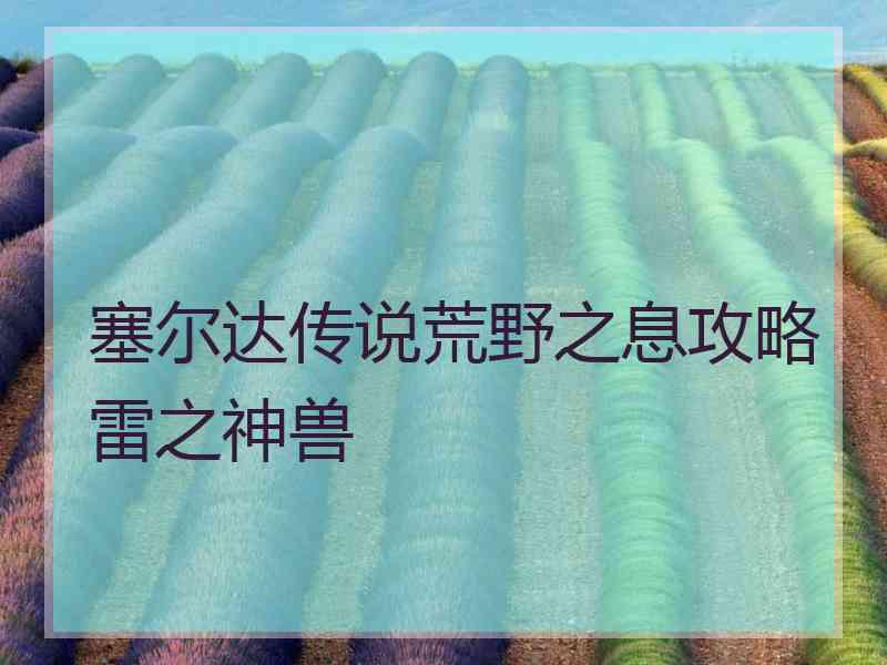 塞尔达传说荒野之息攻略雷之神兽