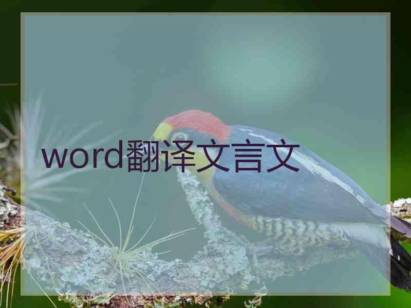 word翻译文言文