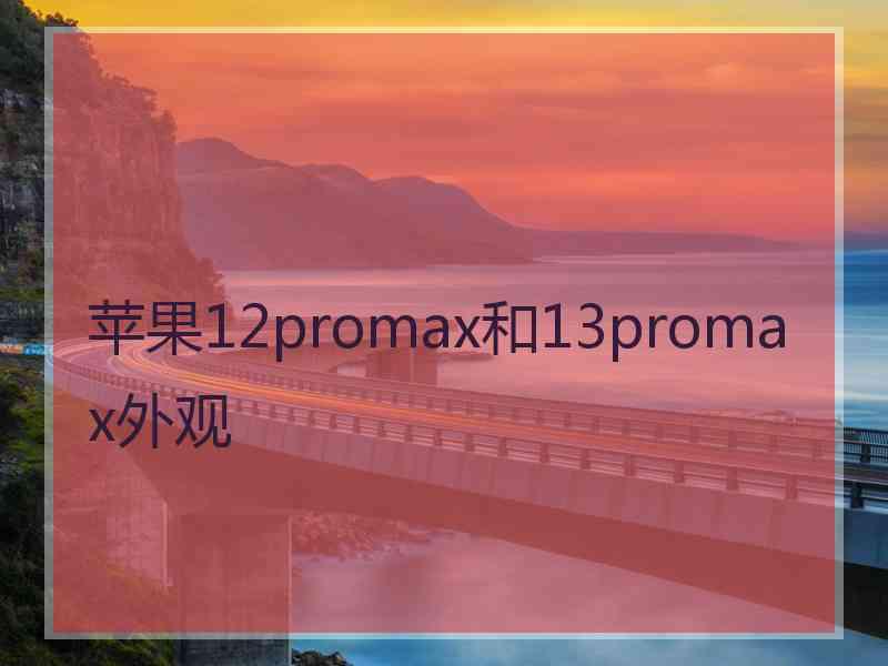 苹果12promax和13promax外观