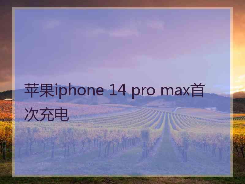 苹果iphone 14 pro max首次充电