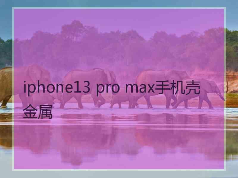 iphone13 pro max手机壳 金属