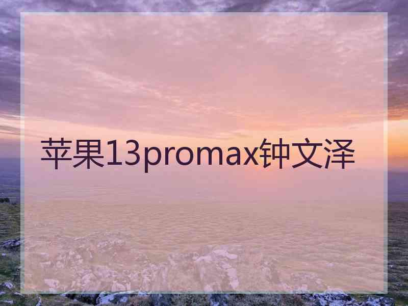 苹果13promax钟文泽