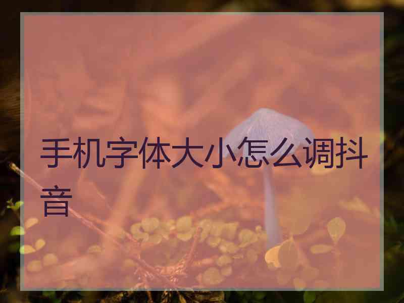 手机字体大小怎么调抖音