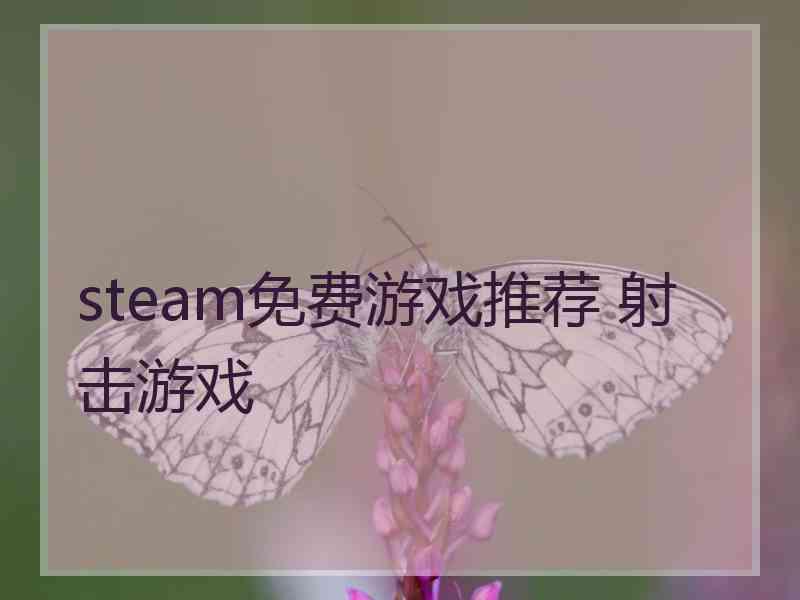 steam免费游戏推荐 射击游戏