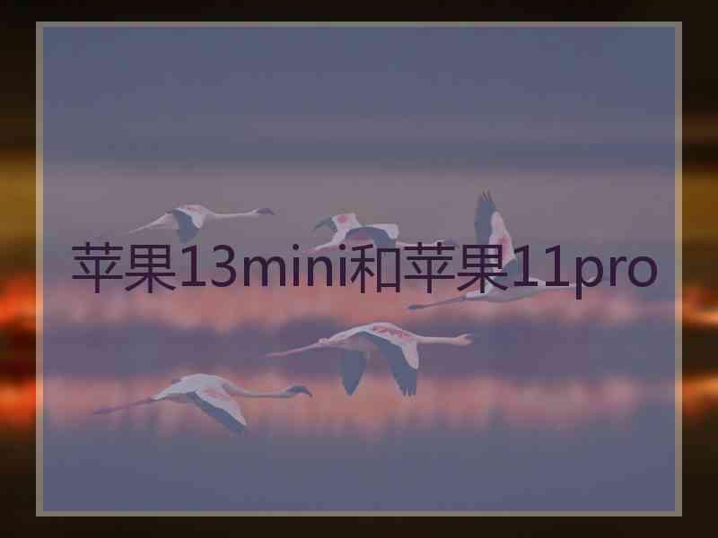 苹果13mini和苹果11pro