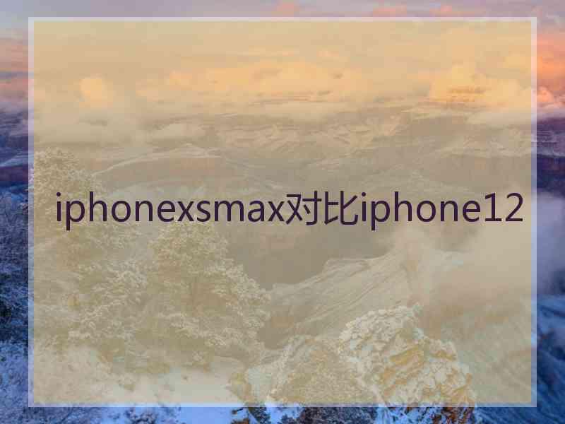 iphonexsmax对比iphone12