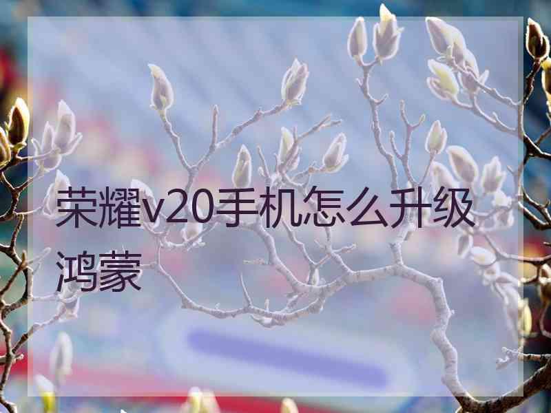 荣耀v20手机怎么升级鸿蒙