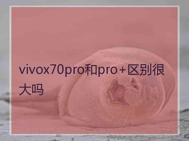 vivox70pro和pro+区别很大吗