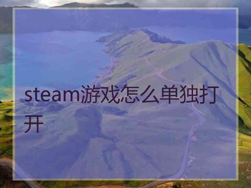 steam游戏怎么单独打开