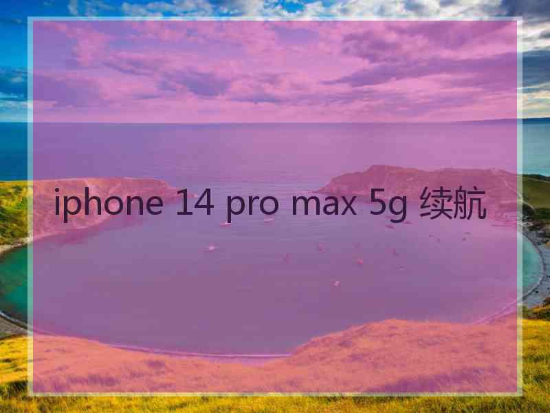 iphone 14 pro max 5g 续航