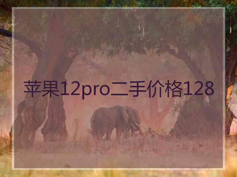 苹果12pro二手价格128