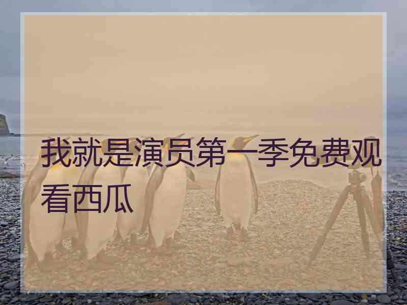 我就是演员第一季免费观看西瓜