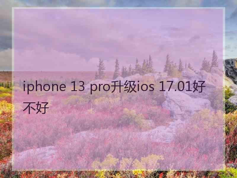 iphone 13 pro升级ios 17.01好不好