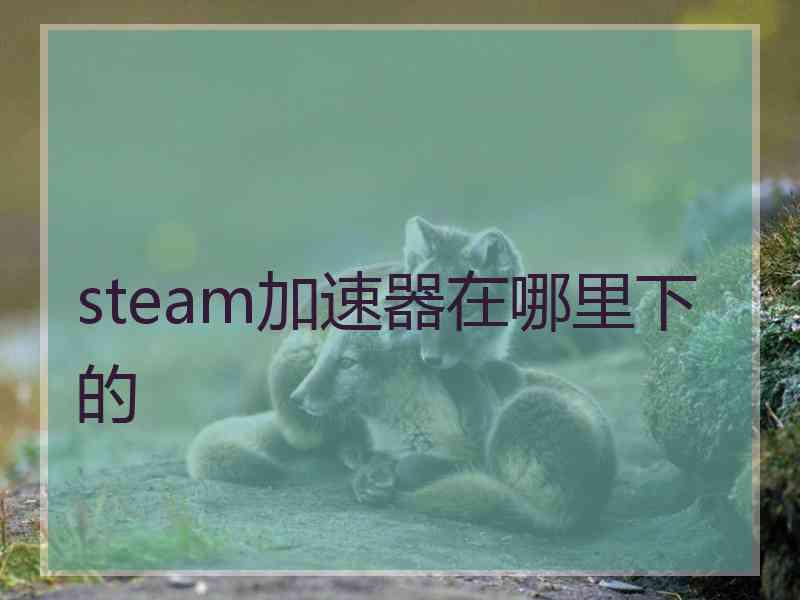 steam加速器在哪里下的