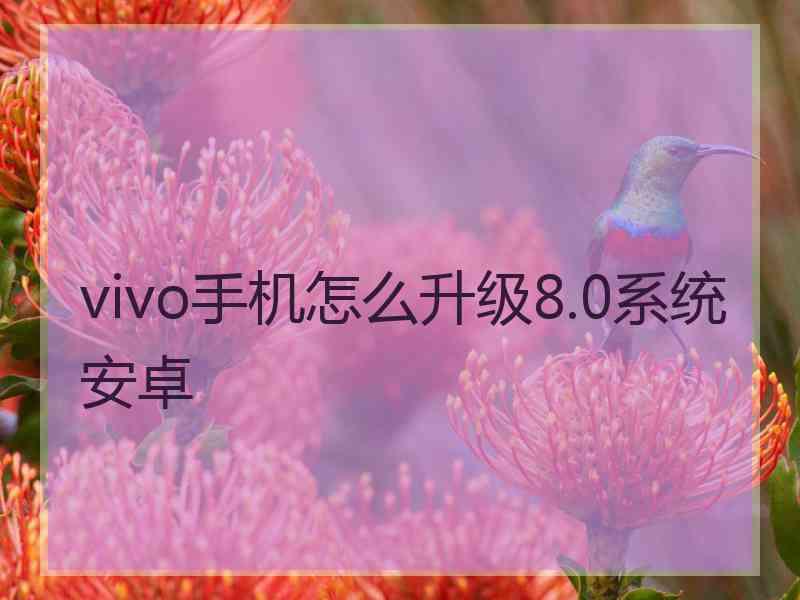 vivo手机怎么升级8.0系统安卓