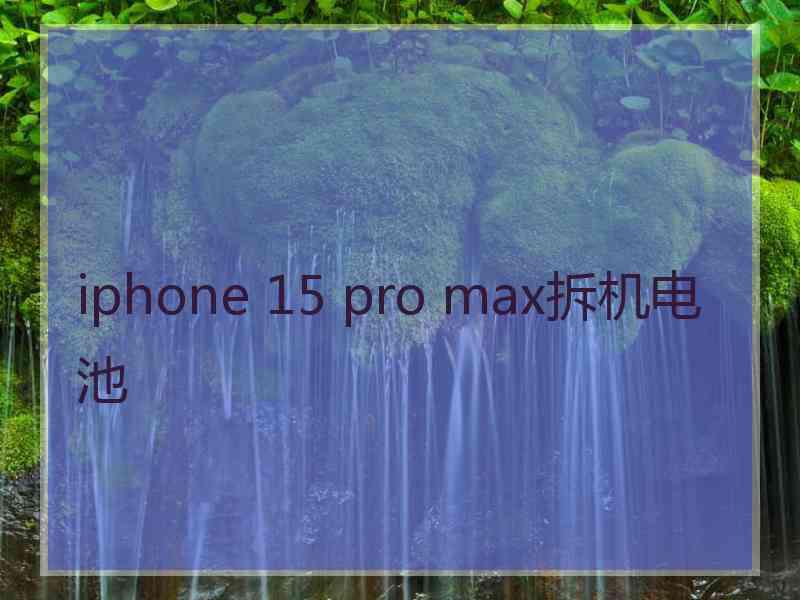 iphone 15 pro max拆机电池