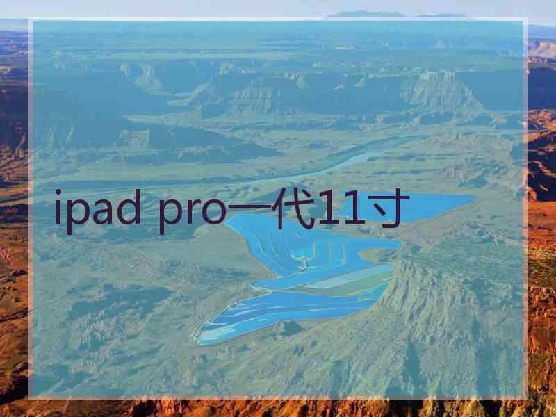 ipad pro一代11寸