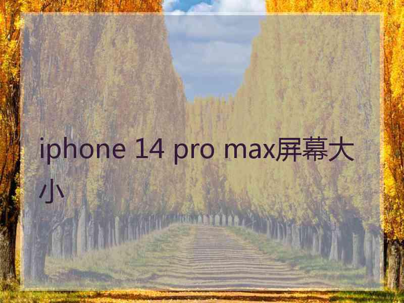 iphone 14 pro max屏幕大小