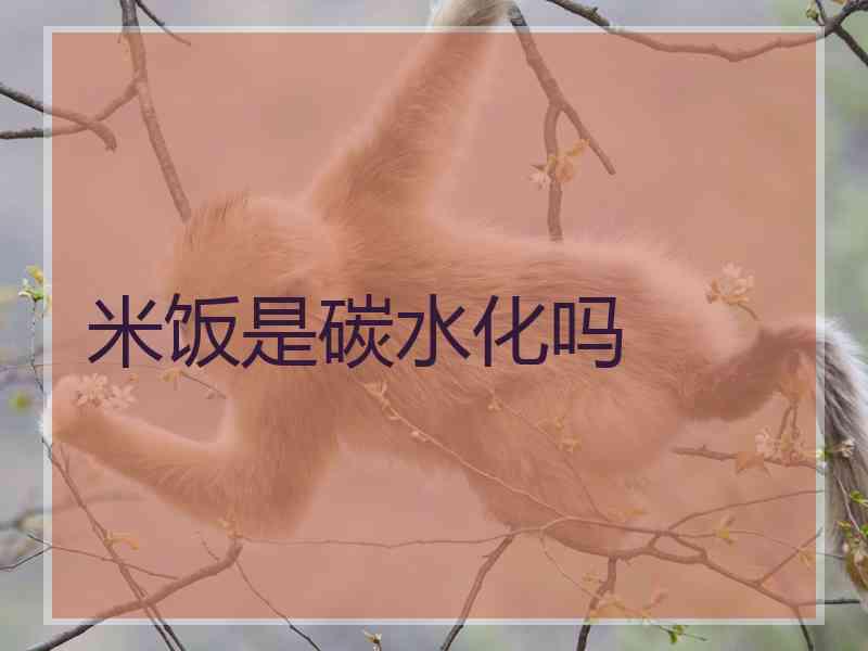 米饭是碳水化吗