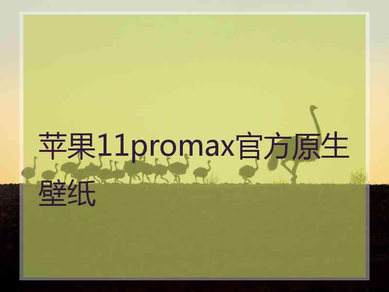 苹果11promax官方原生壁纸