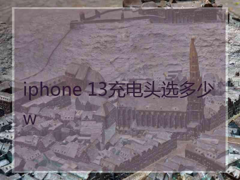 iphone 13充电头选多少w