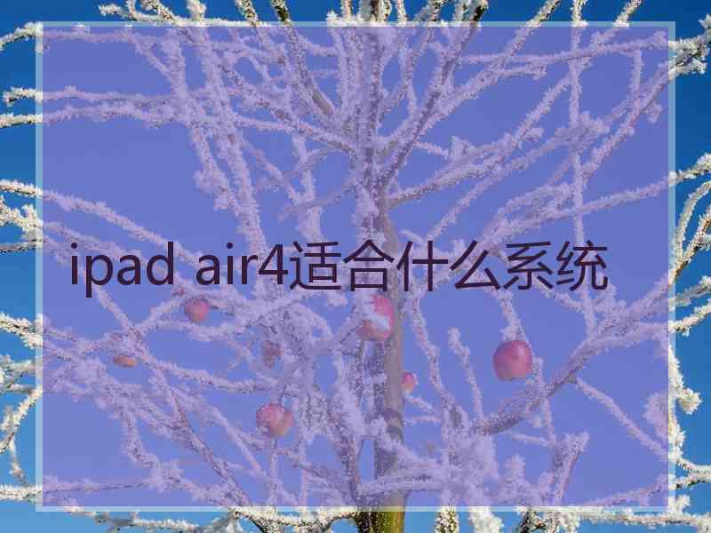 ipad air4适合什么系统