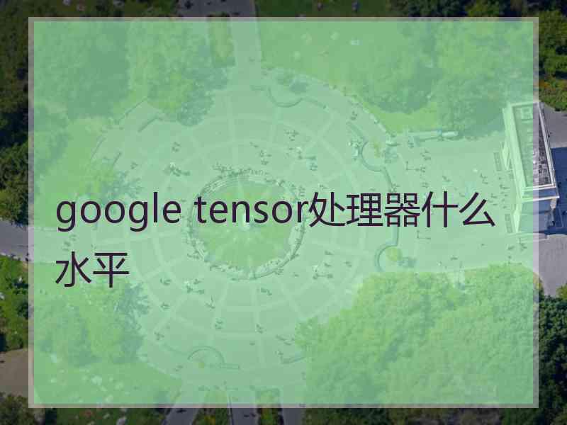 google tensor处理器什么水平