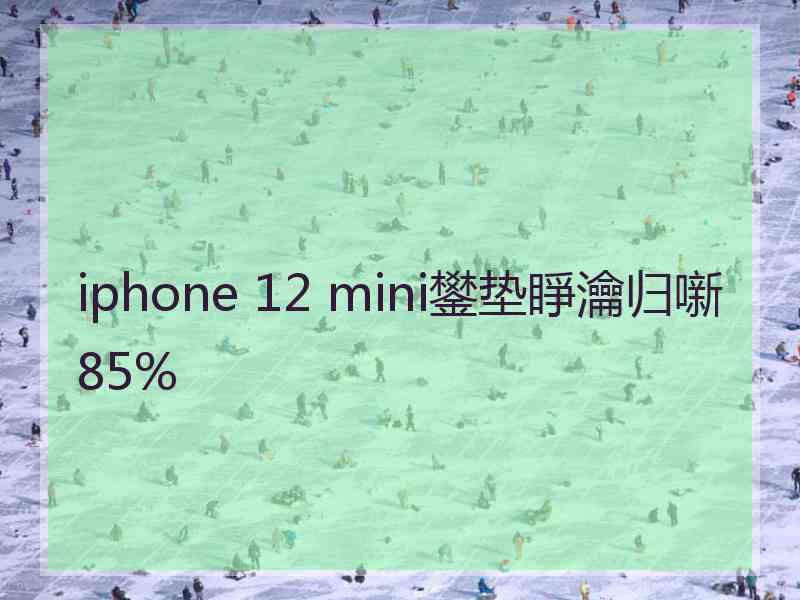 iphone 12 mini鐢垫睜瀹归噺85%