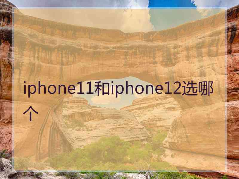 iphone11和iphone12选哪个