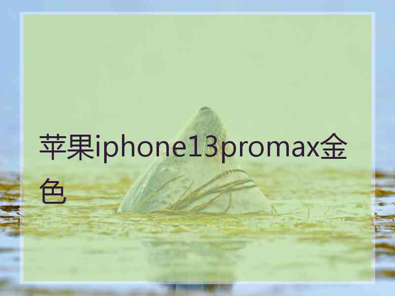 苹果iphone13promax金色