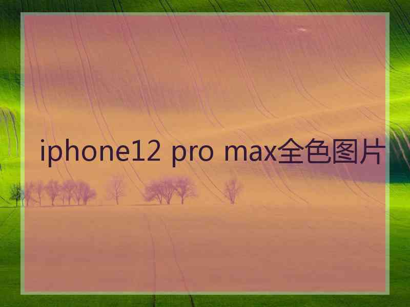 iphone12 pro max全色图片