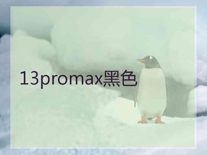 13promax黑色