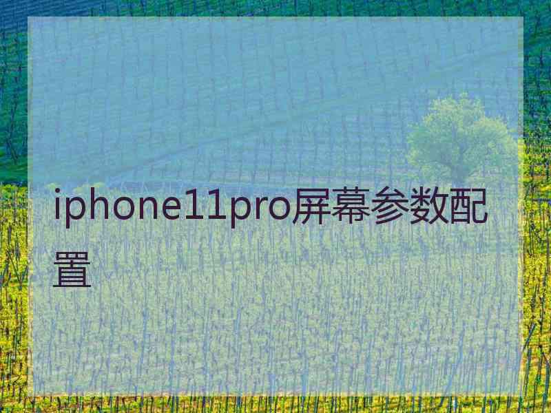 iphone11pro屏幕参数配置