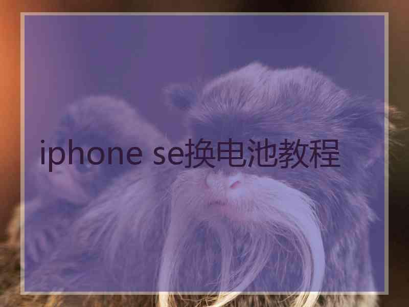 iphone se换电池教程