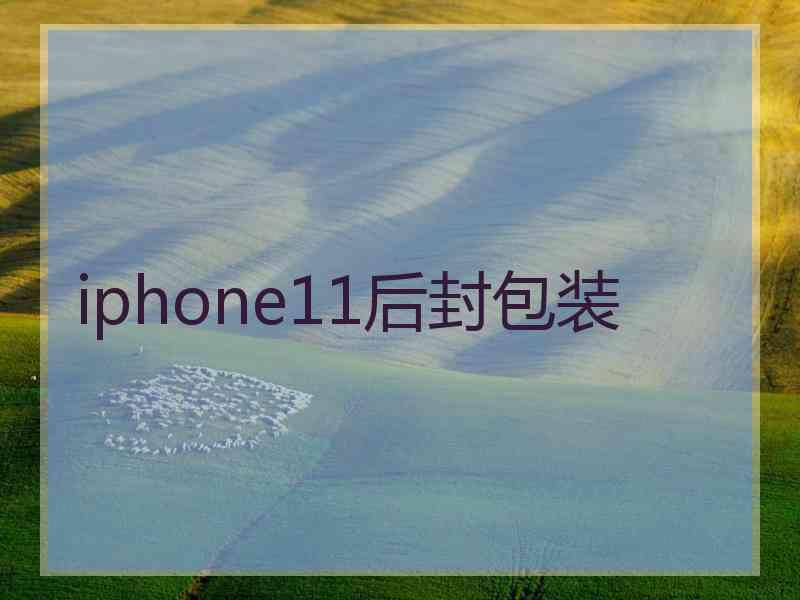 iphone11后封包装