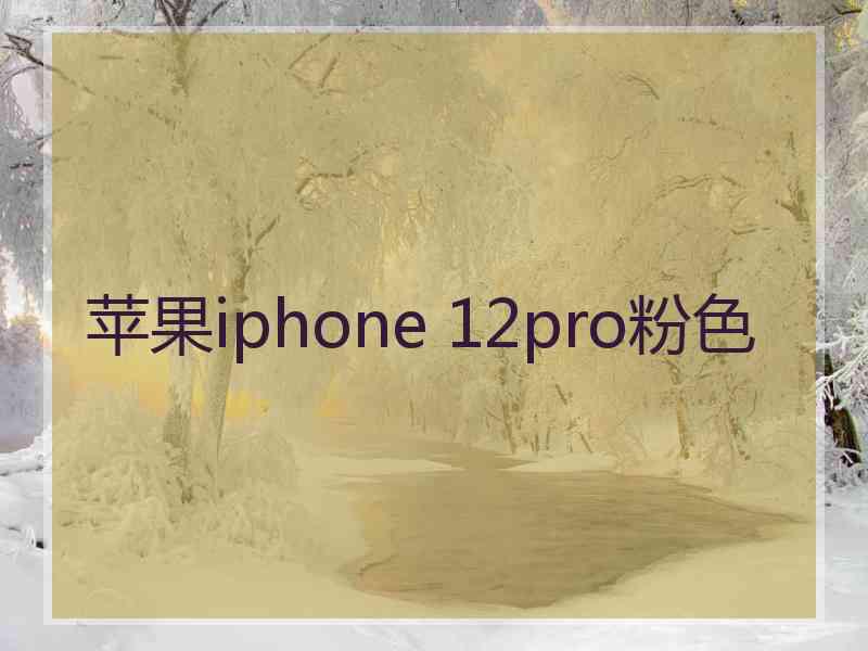 苹果iphone 12pro粉色