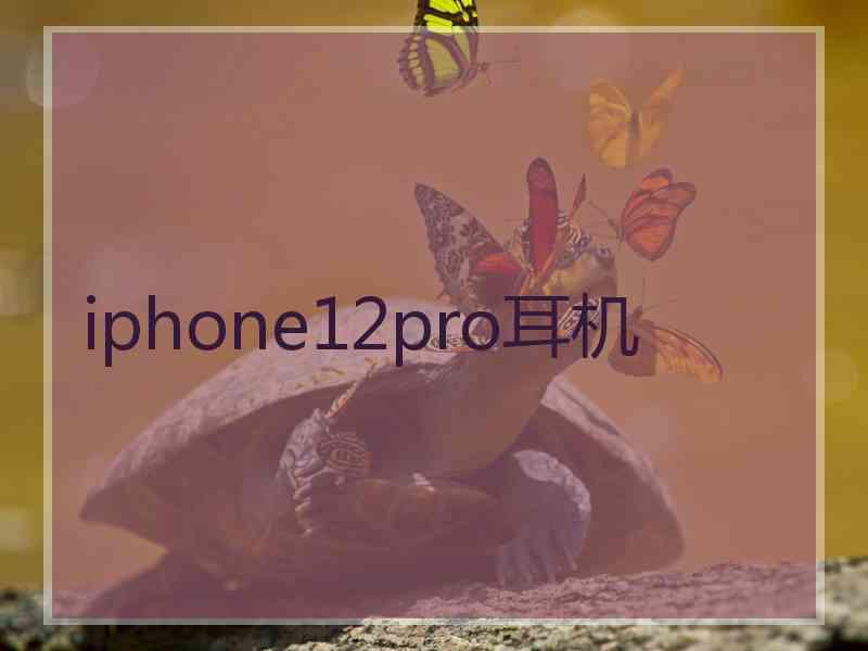 iphone12pro耳机