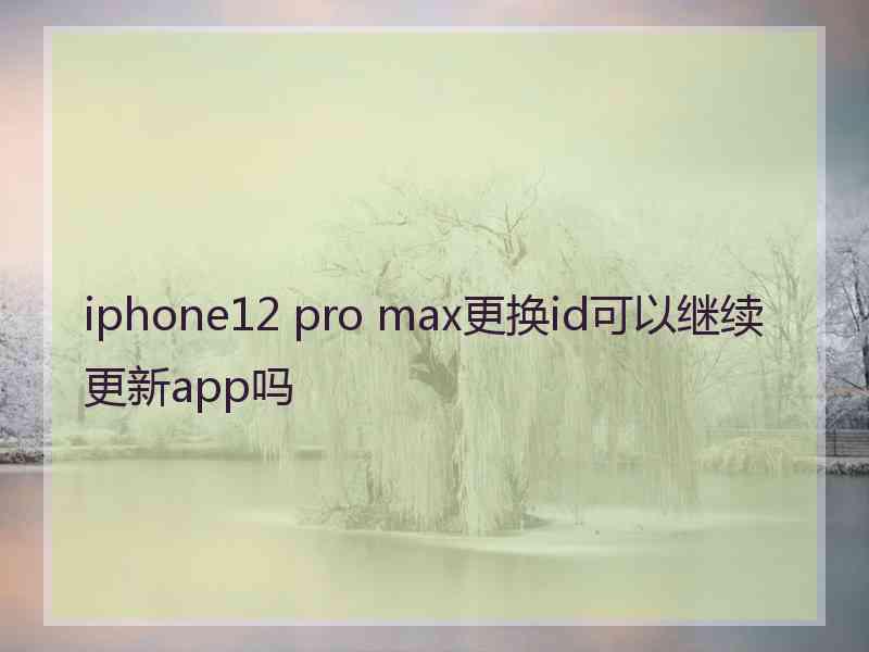 iphone12 pro max更换id可以继续更新app吗