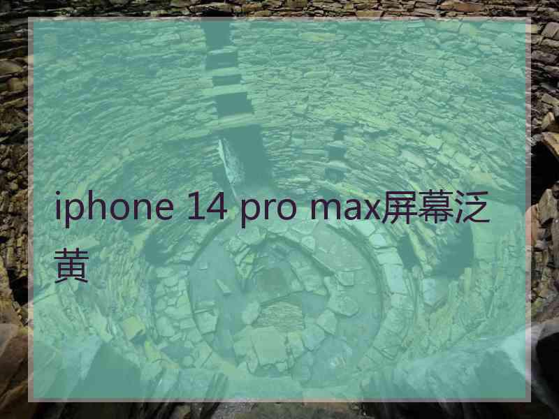 iphone 14 pro max屏幕泛黄