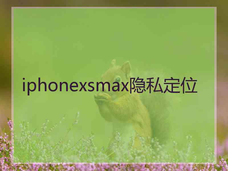 iphonexsmax隐私定位