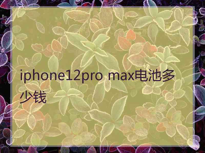 iphone12pro max电池多少钱